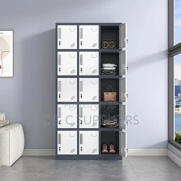 15-Door's Gym Cabinet