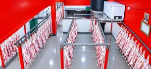 Wonderful Slaughter House