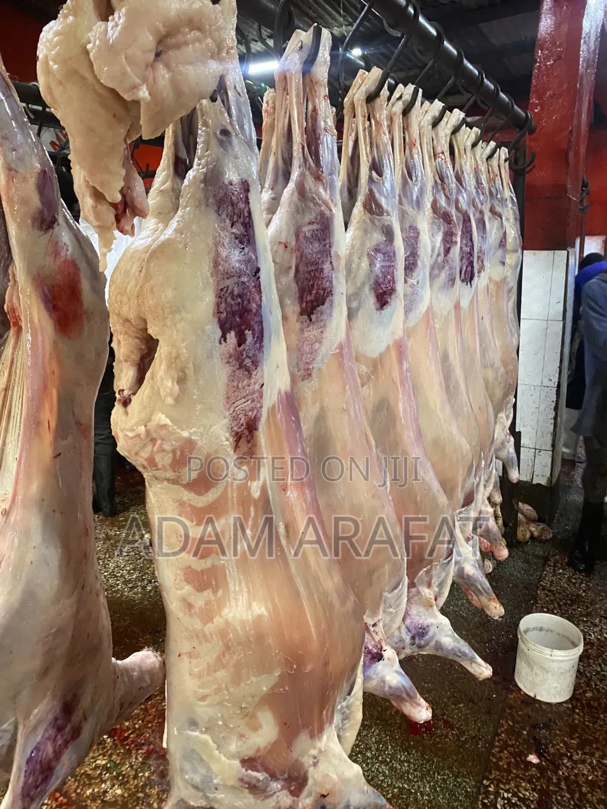 Wonderful Slaughter House