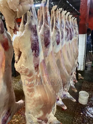 Wonderful Slaughter House