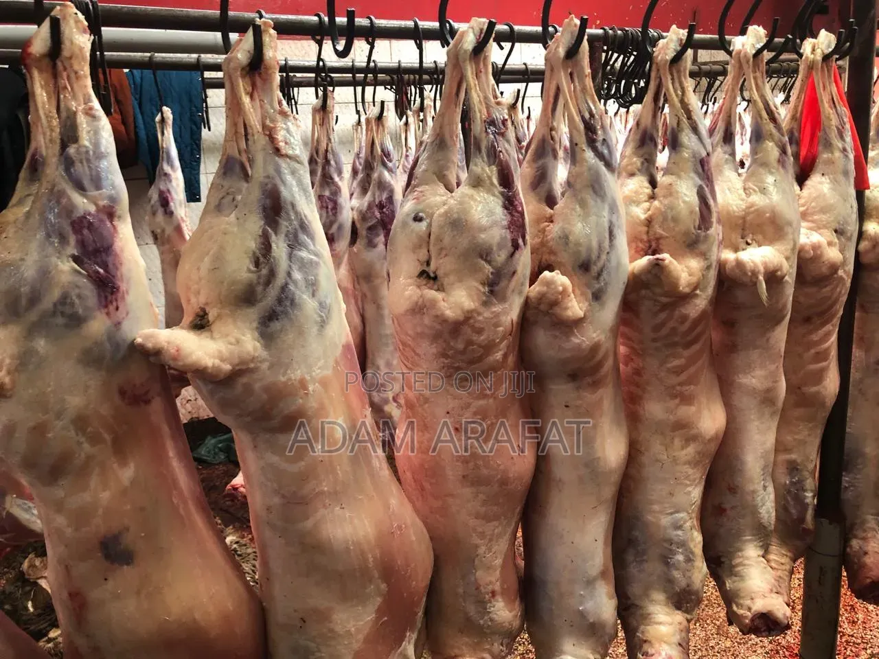 Wonderful Slaughter House