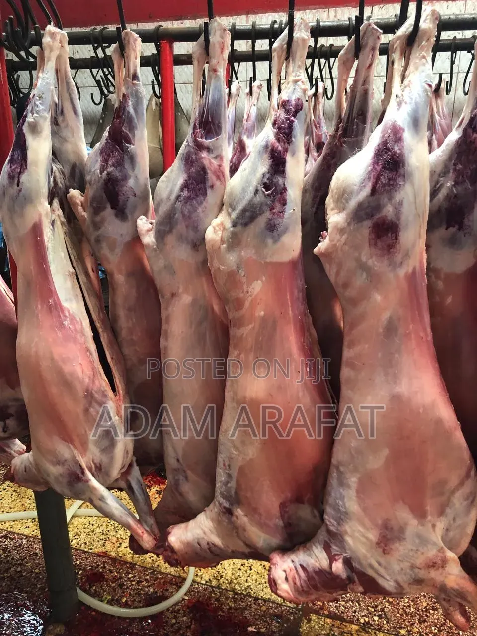 Wonderful Slaughter House