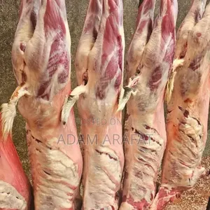 Wonderful Slaughter House