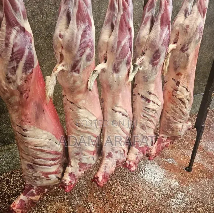 Wonderful Slaughter House