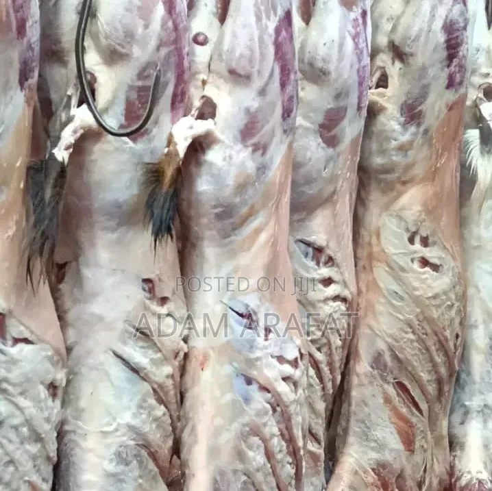 Wonderful Slaughter House