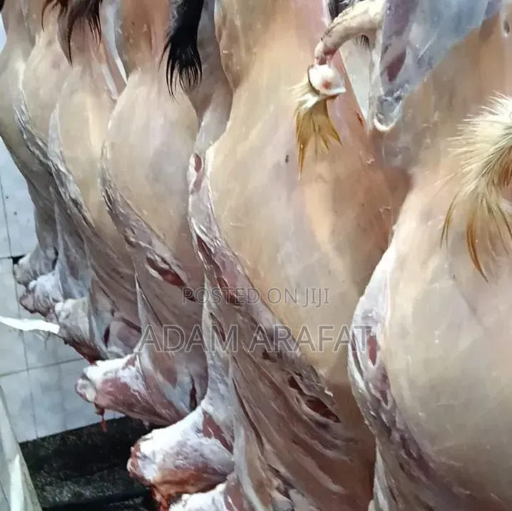 Wonderful Slaughter House