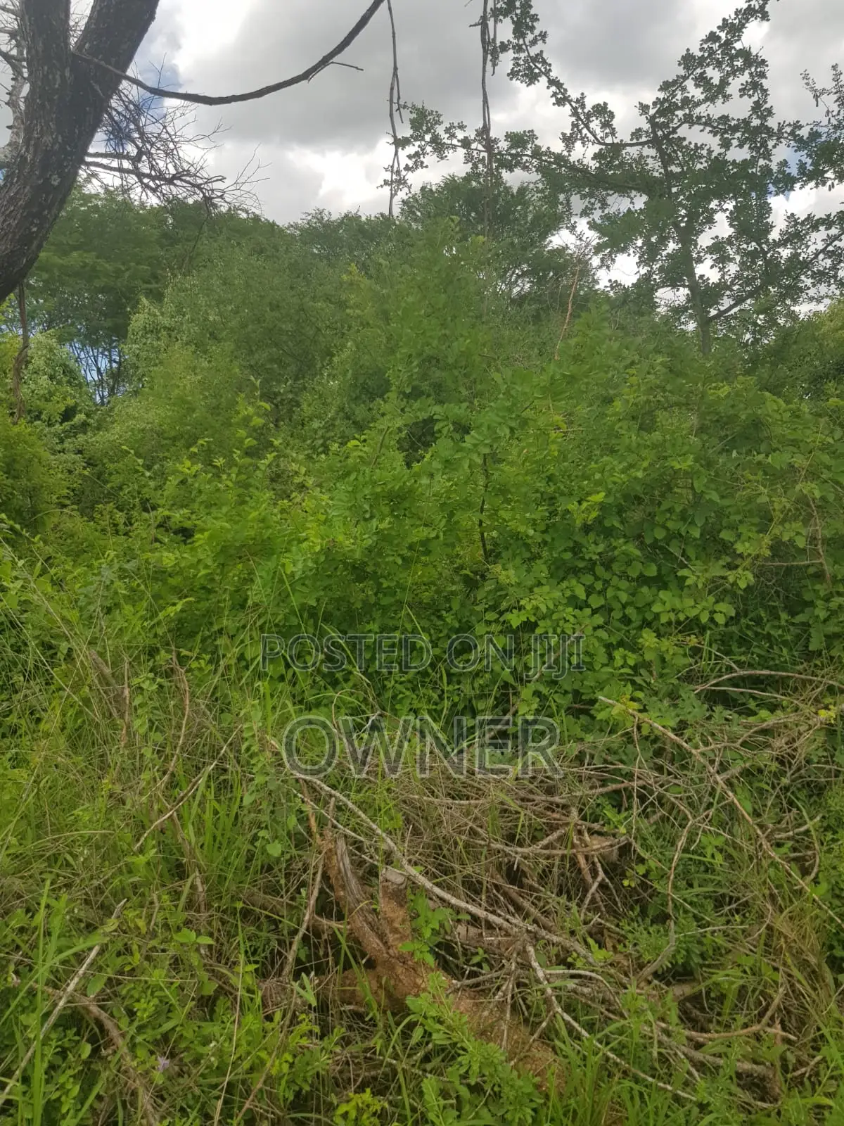 Mwingi Prime Land 30.5acres – Kavaini, Thitani Location