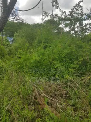 Mwingi Prime Land 30.5acres – Kavaini, Thitani Location
