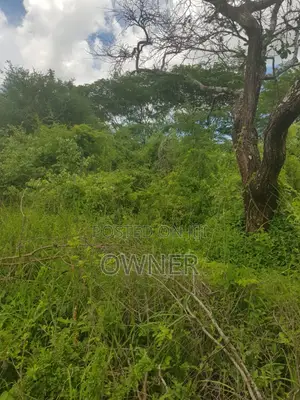 Mwingi Prime Land 30.5acres – Kavaini, Thitani Location