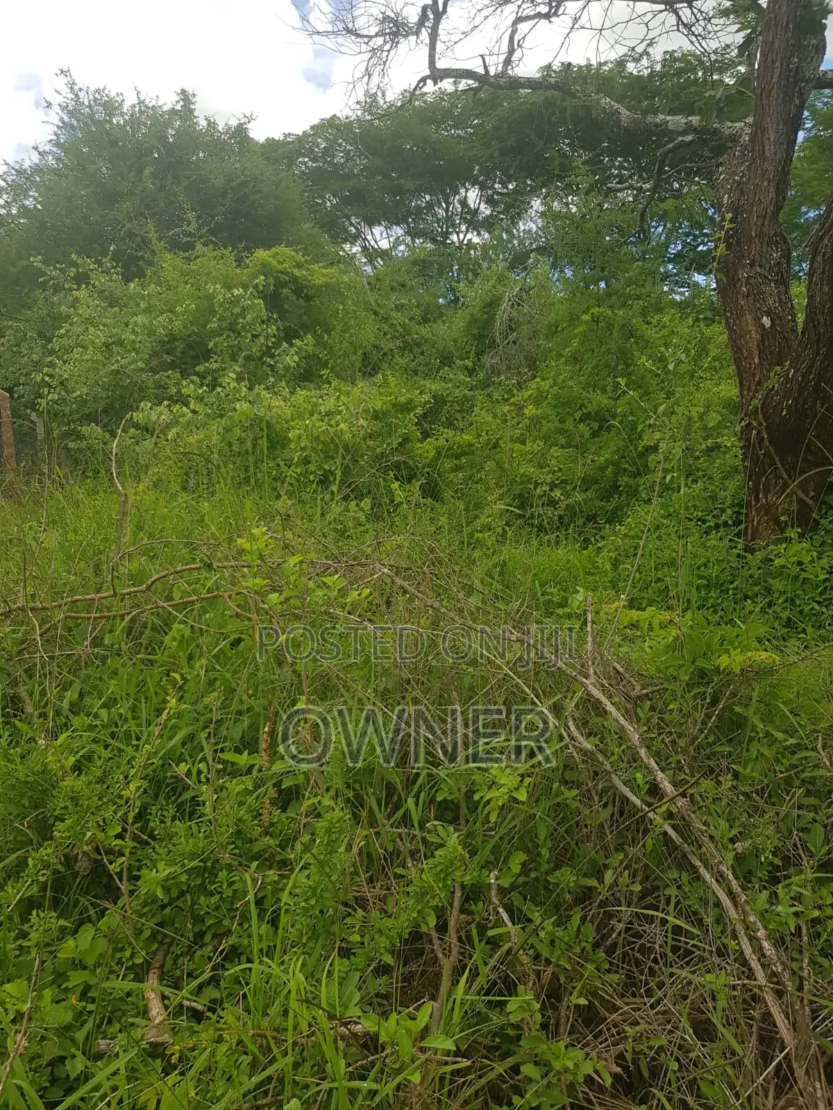 Mwingi Prime Land 30.5acres – Kavaini, Thitani Location