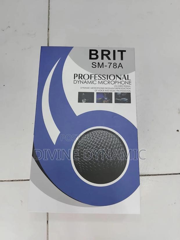 BRIT SM - 78A Professional Dynamic Microphone