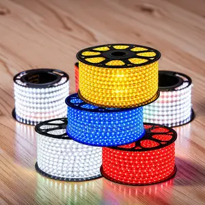 High Brightness 50Meter Outdoor Snake Light With Connector