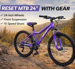 Reset MTB 24" Purple