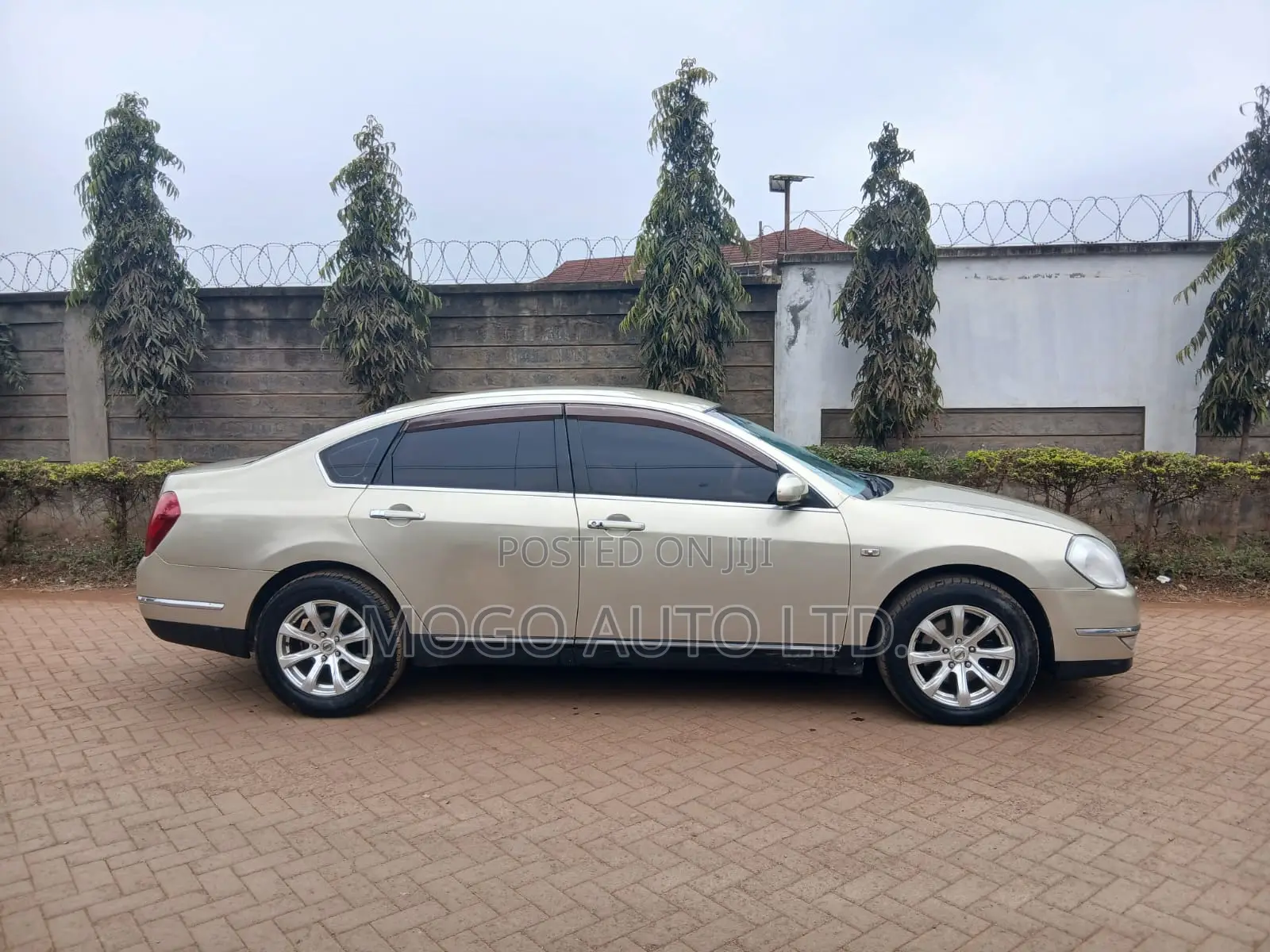 Nissan Teana 2007 Gold