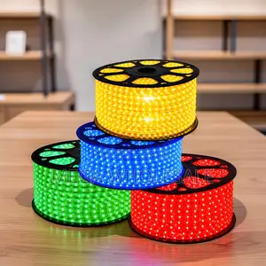 Energy Efficient 50Meter Outdoor Snake Light With Connector