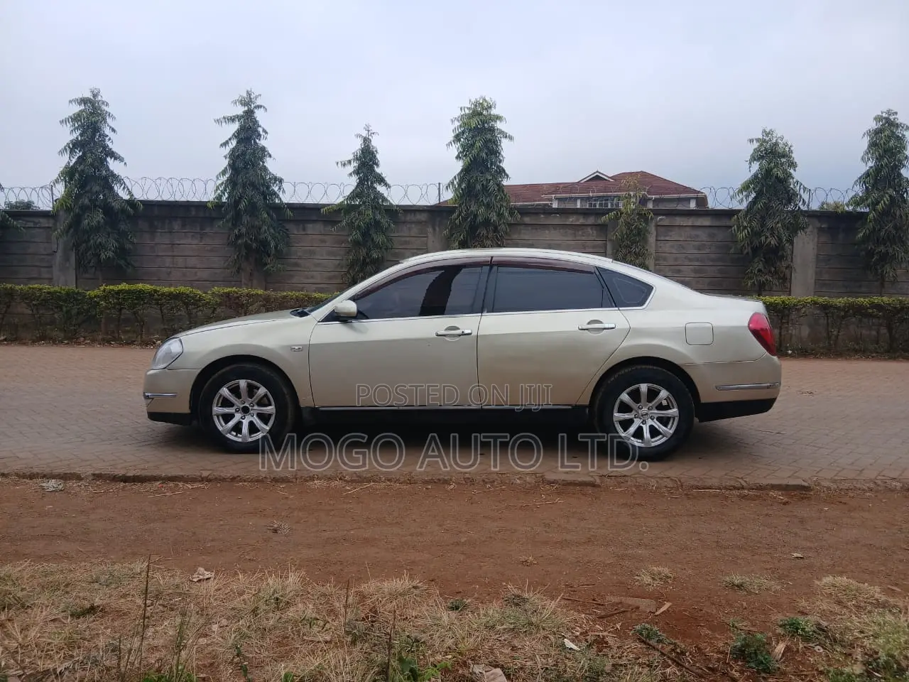 Nissan Teana 2007 Gold