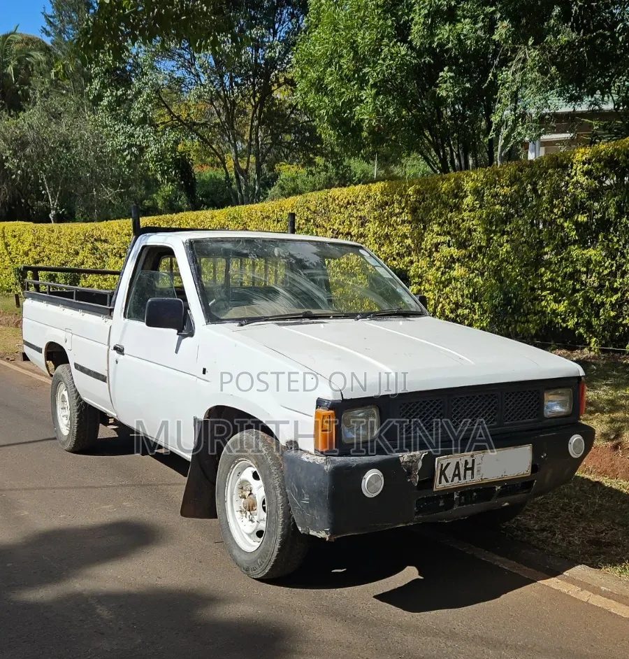 Nissan Hardbody 1996 White