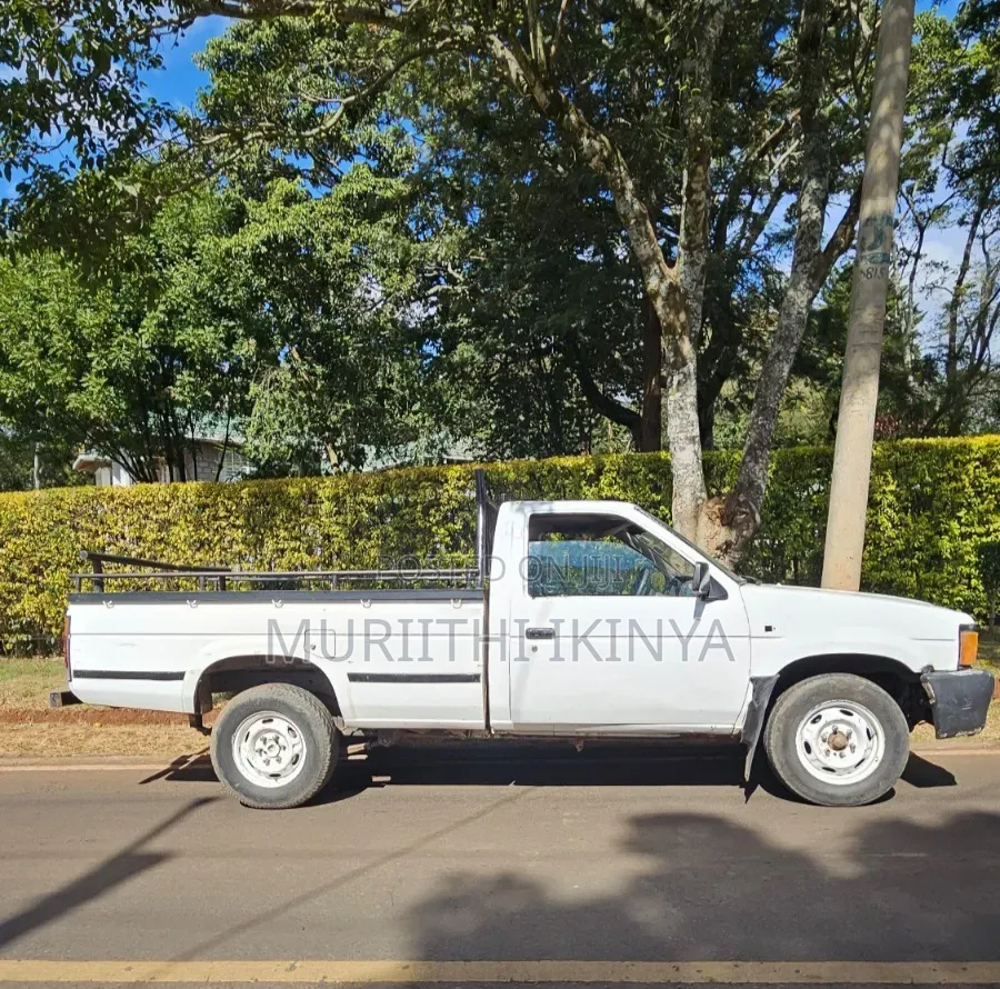 Nissan Hardbody 1996 White