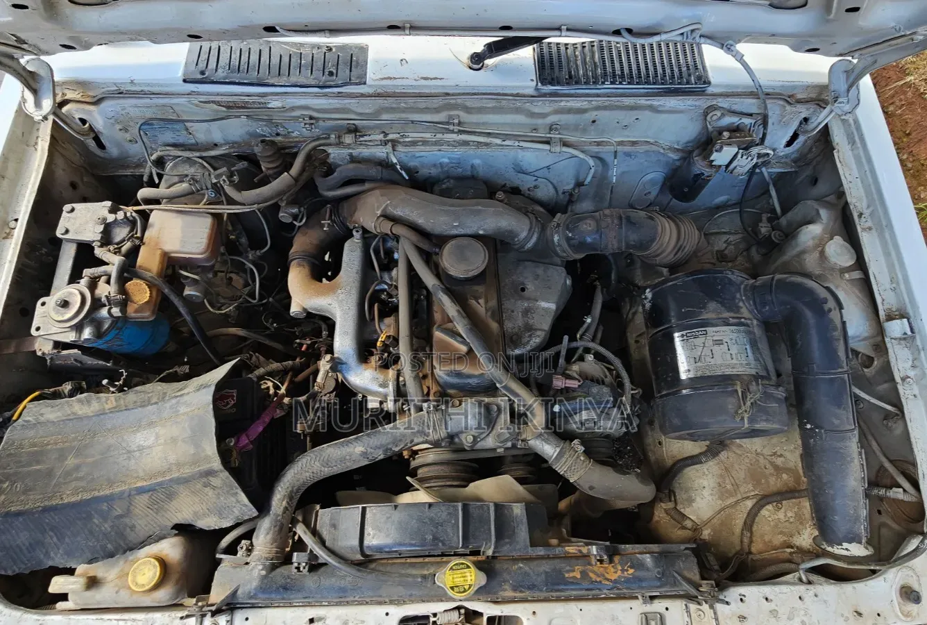 Nissan Hardbody 1996 White