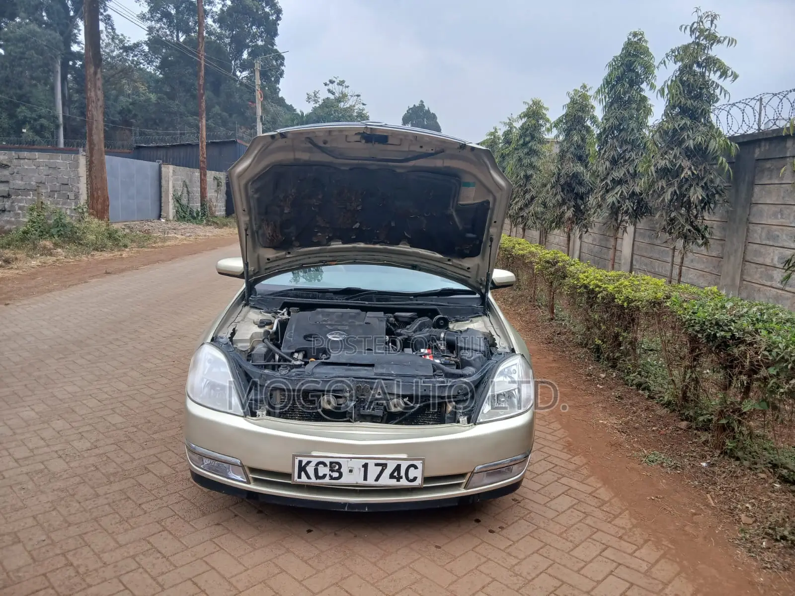 Nissan Teana 2007 Gold