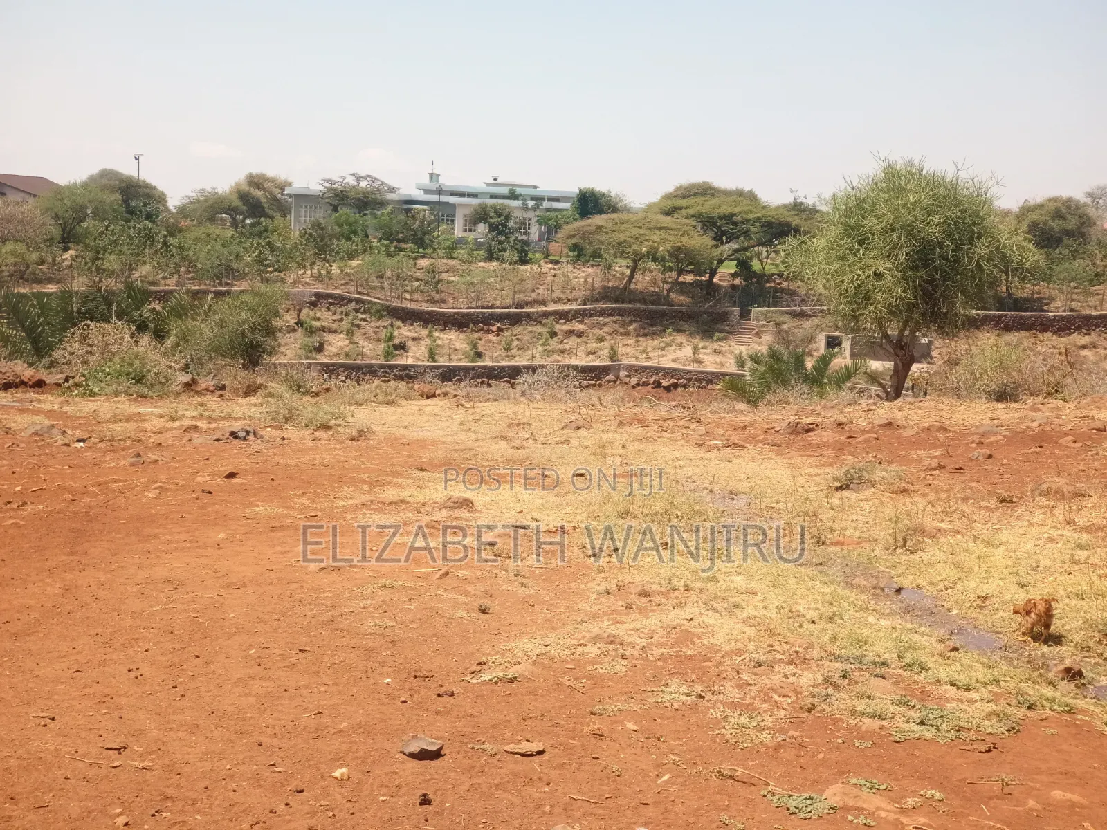 One Acre for Sale