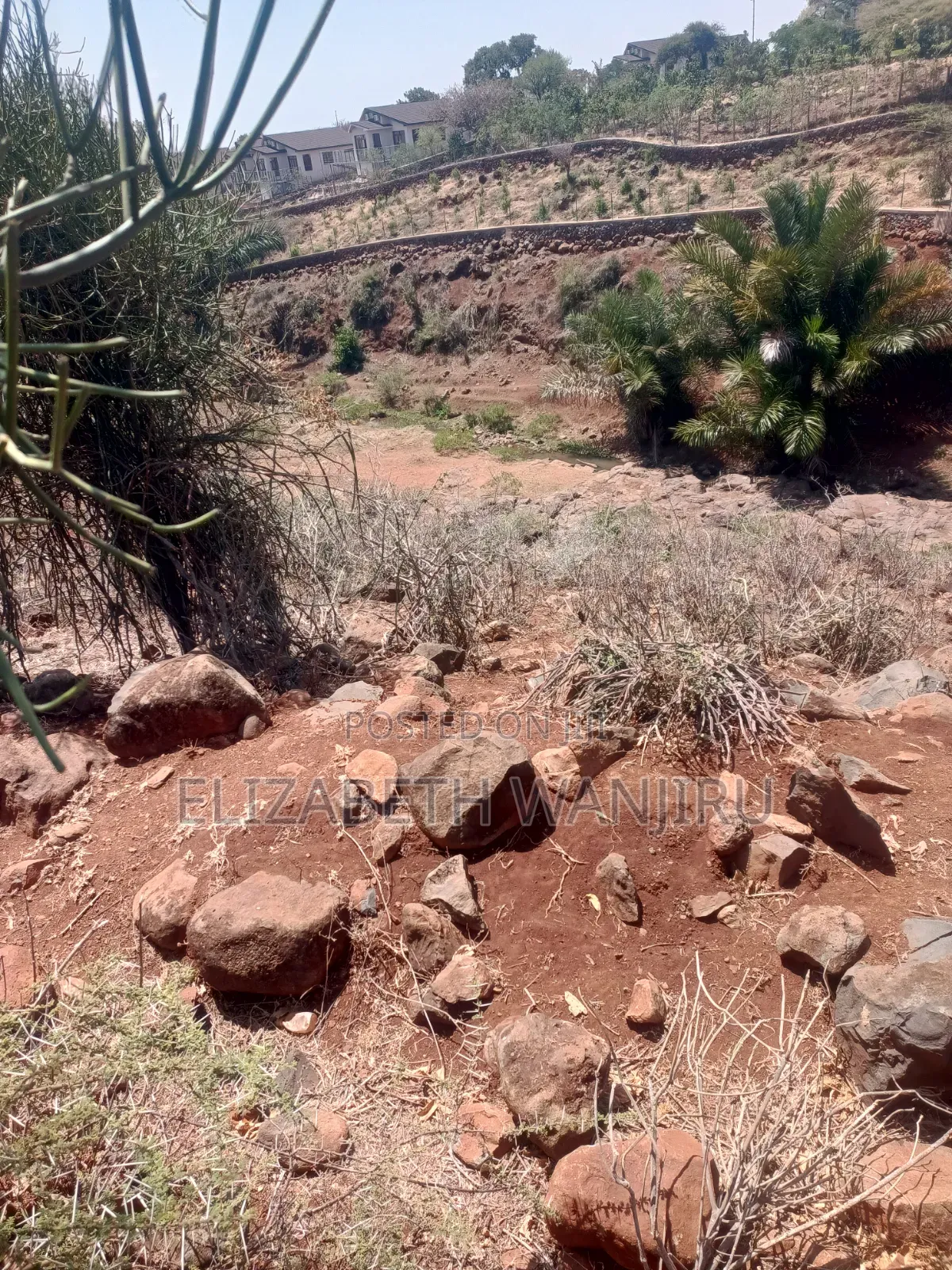 One Acre for Sale