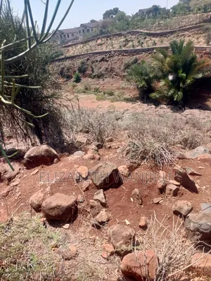 One Acre for Sale