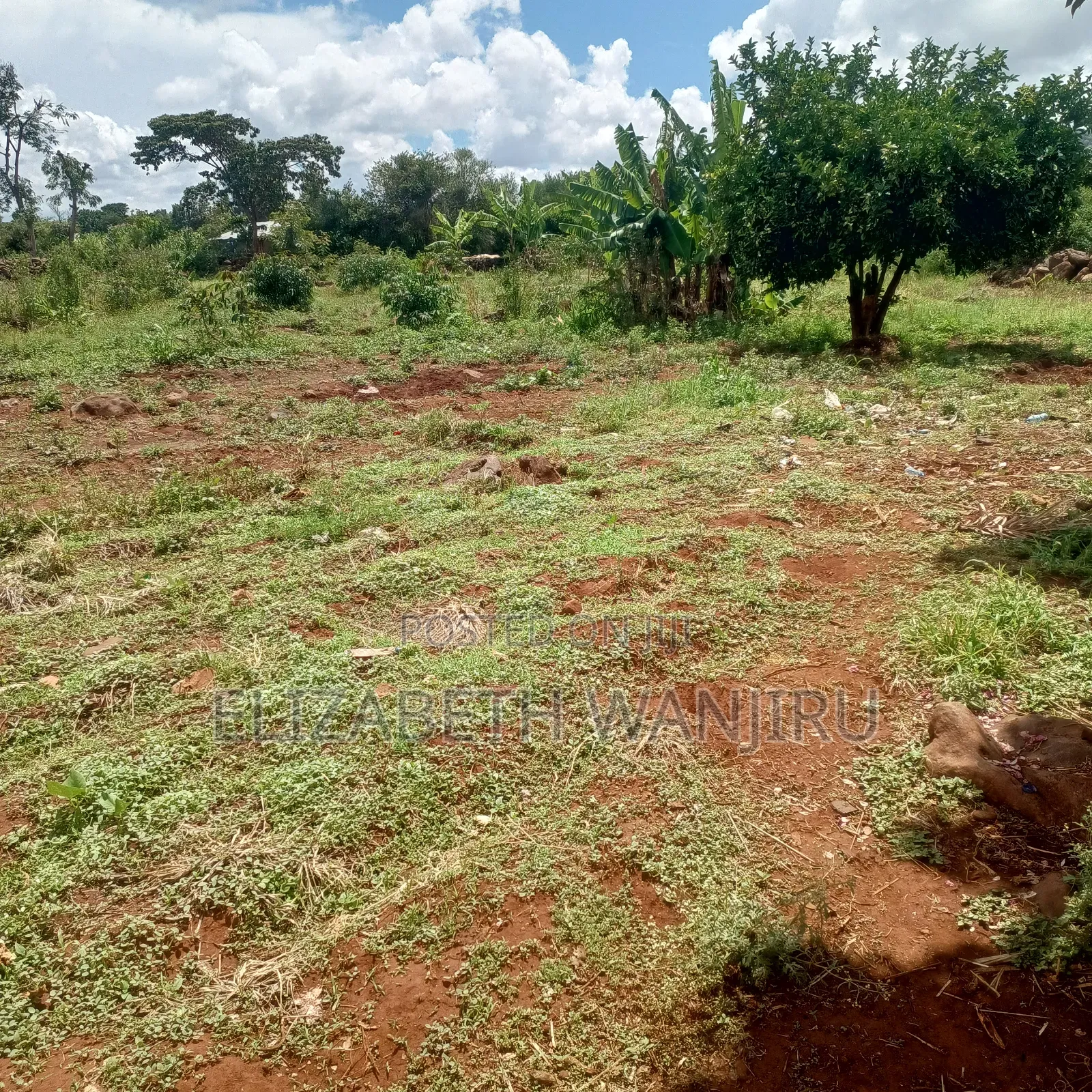One Acre for Sale