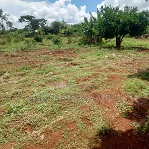 One Acre for Sale