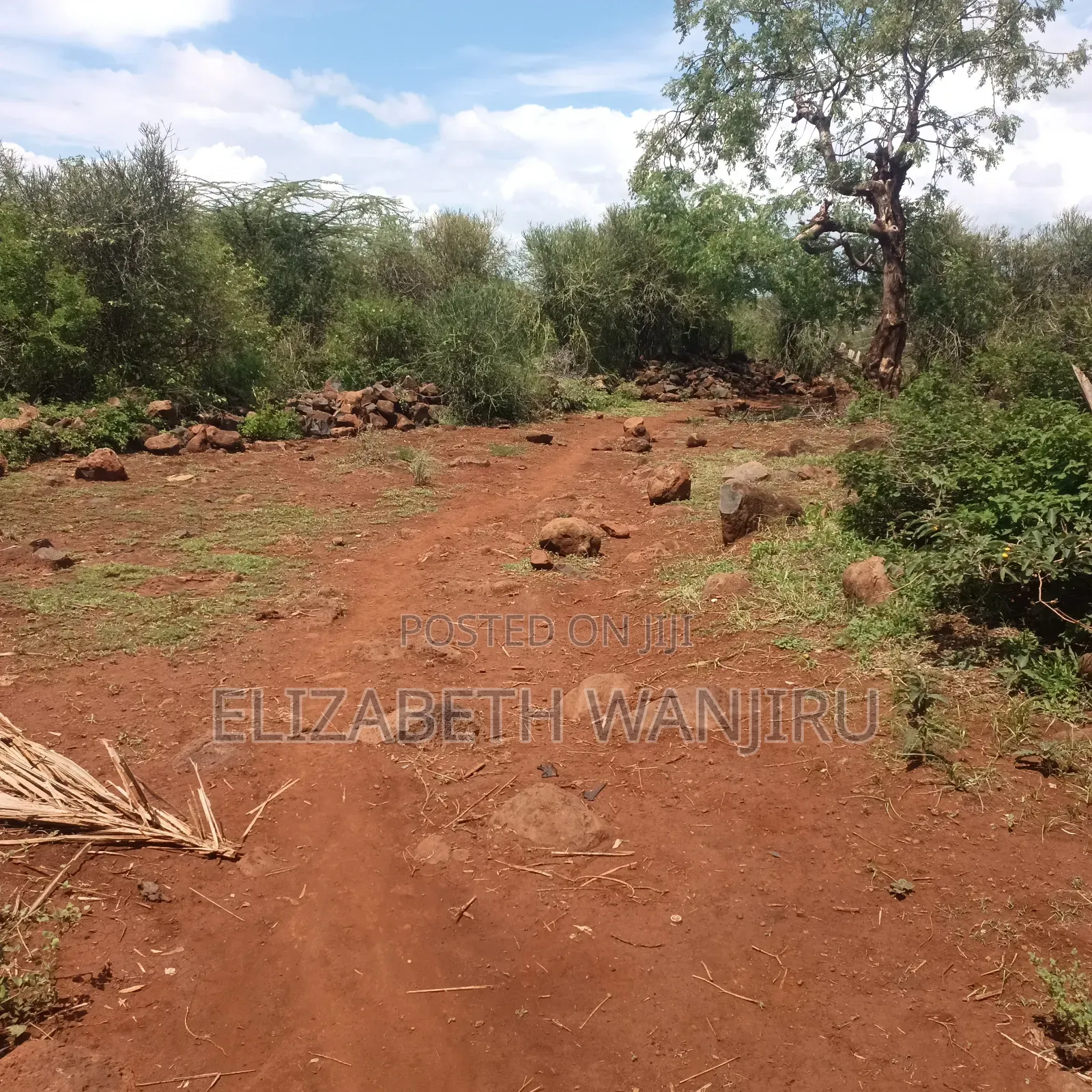 One Acre for Sale