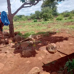 One Acre for Sale