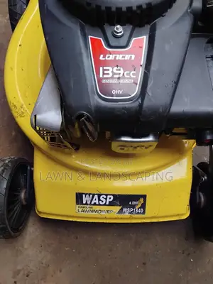 Lawn Mower for Sale