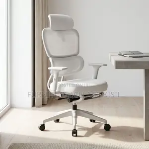 Office Orthopedic Chair With Footrest