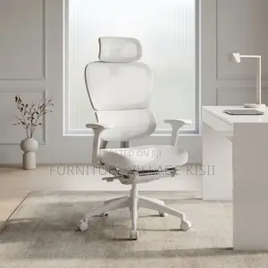Office Orthopedic Chair With Footrest