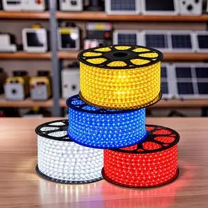 Moisture Resistant 50Meter Outdoor Snake Light With Connector