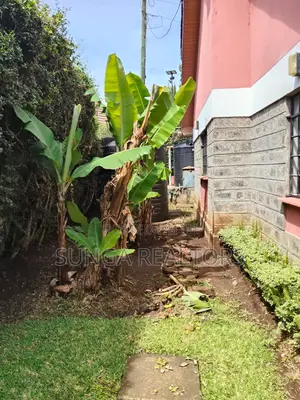 4bdrm Bungalow in Bomas, Hardy for rent