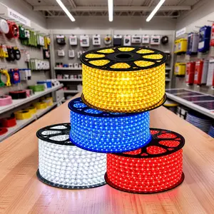 Reliable Performance 50Meter Outdoor Snake Light With Connector
