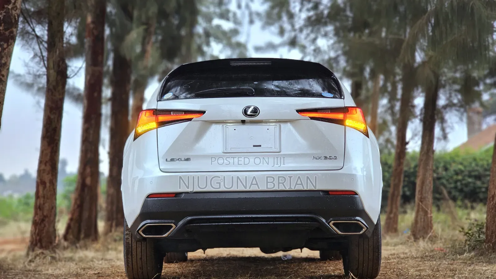 Lexus NX 300 FWD 2019 White