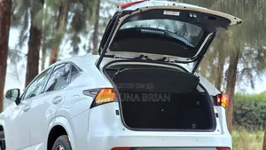 Lexus NX 300 FWD 2019 White