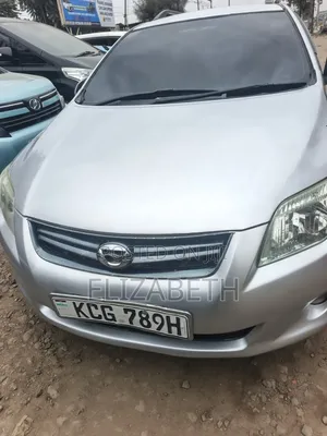 Toyota Corolla Fielder 2008 Silver