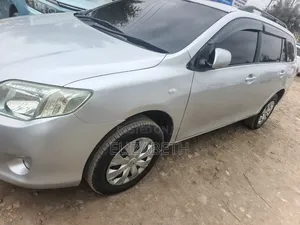 Toyota Corolla Fielder 2008 Silver