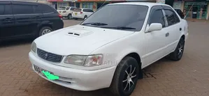 Toyota Corolla 2000 White