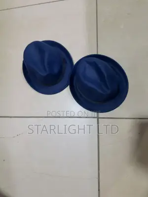 Navy Blue Small Brim Fedora Hay