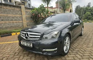 Mercedes-Benz C250 2013 Gray