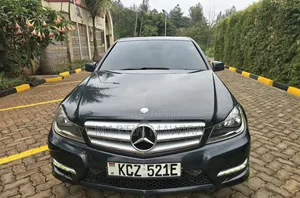 Mercedes-Benz C250 2013 Gray