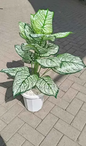 Artificial Plants for Home Décor
