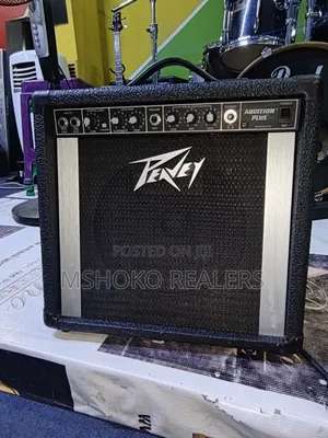 Peavey Guitar Combo
