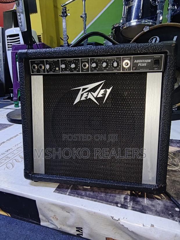 Peavey Guitar Combo
