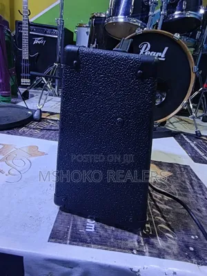 Peavey Guitar Combo