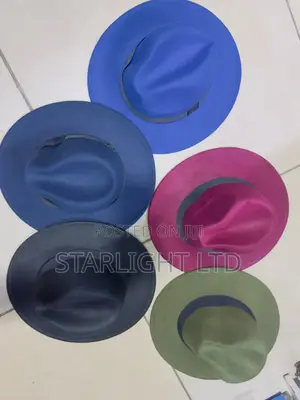 Classic Multicoloured Wide Brim Fedora Hat